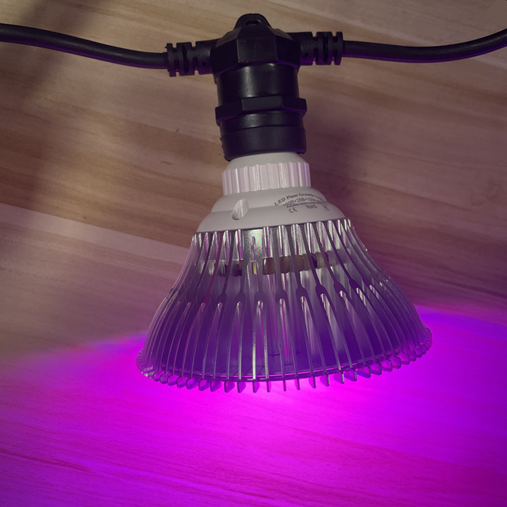 10M Cable LED String Commercia - Led Fairy String Lights のレビューと価格