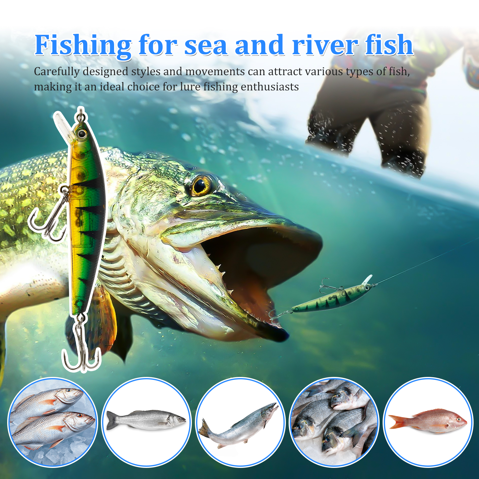 Advent Calendar Fishing Lure C - Advent Calendar Gift のレビューと価格