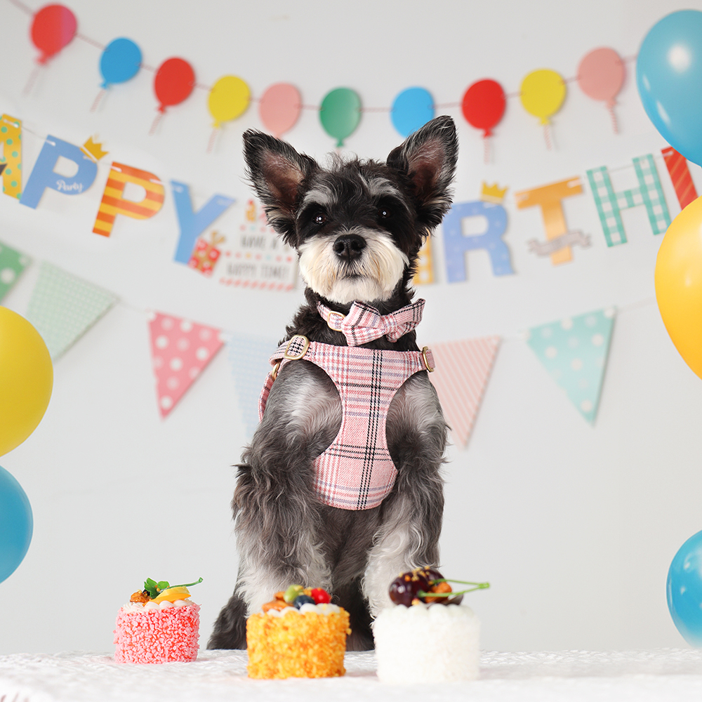 3pcs/set Dog Collar Harness le - Christmas Throw Blanket のレビューと価格