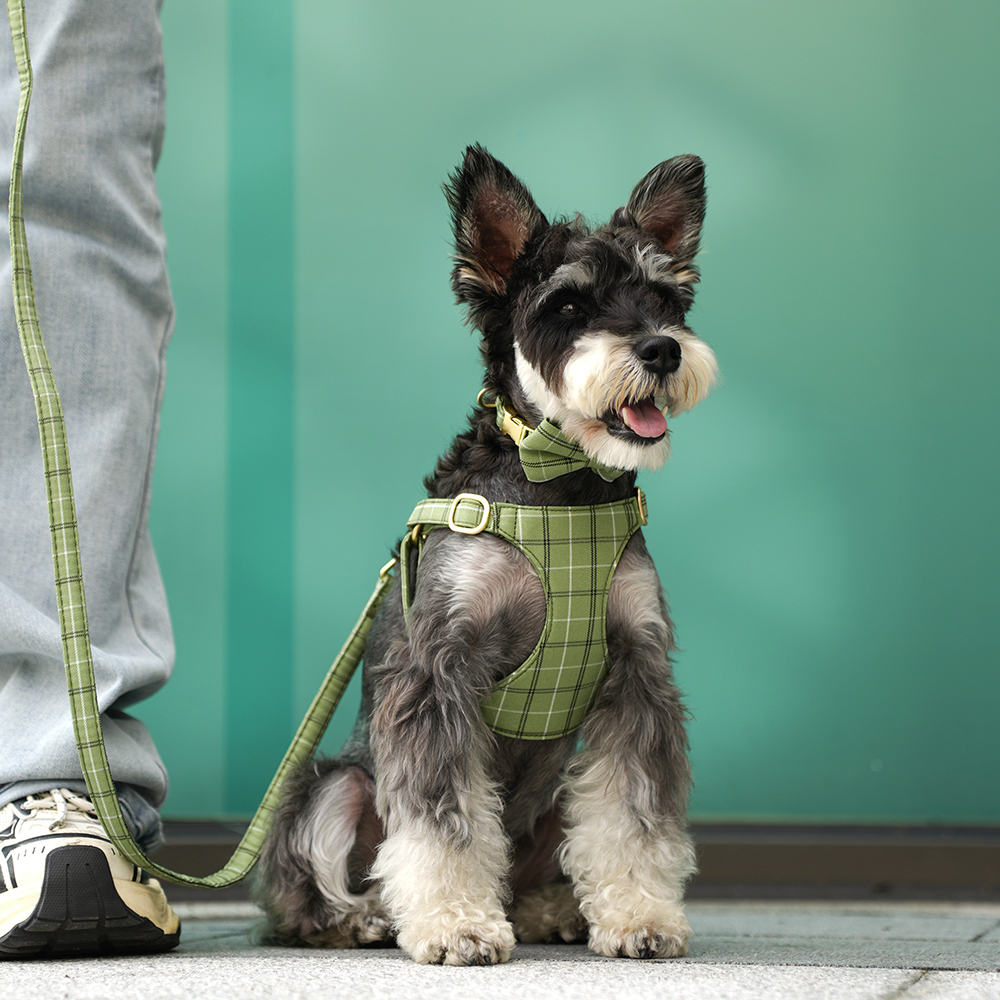 3pcs/set Dog Collar Harness le - Christmas Throw Blanket のレビューと価格