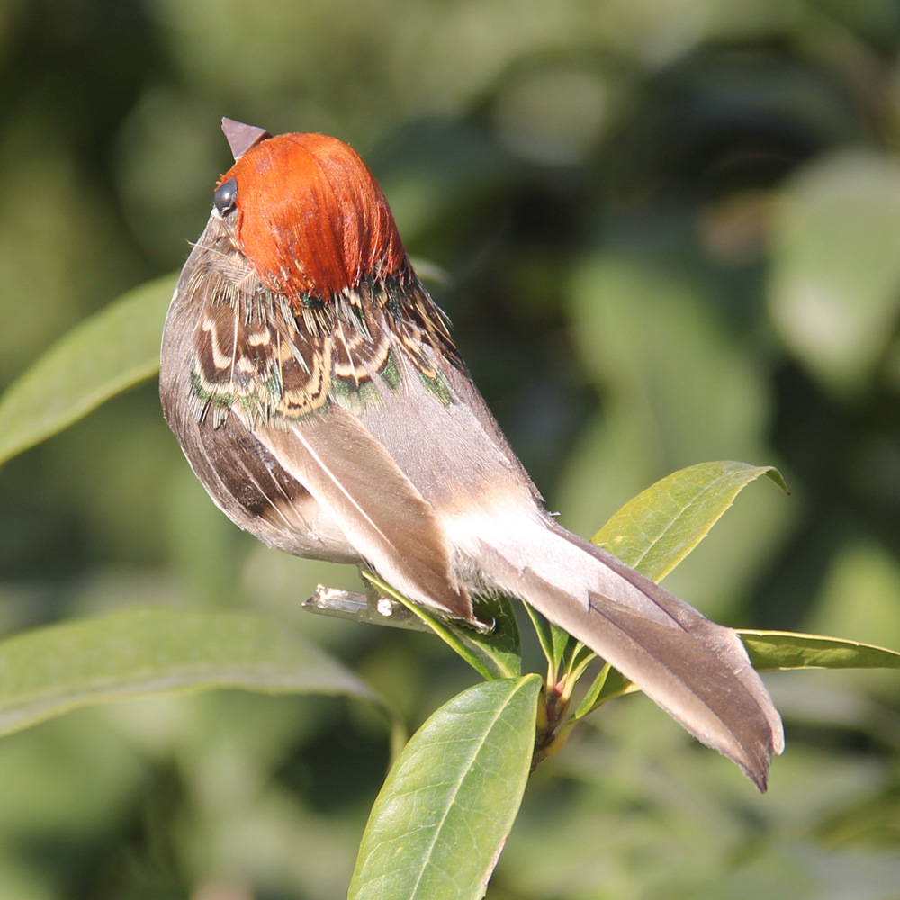 2Pcs Hot Feather Bird Imitatio - Christmas Tree Artificial のレビューと価格